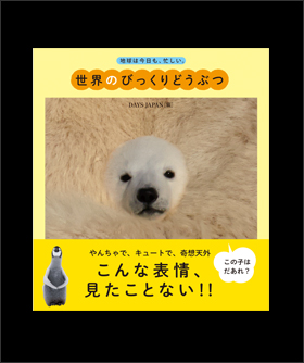 写真集 地球は今日も、忙しい「世界のびっくりどうぶつ」