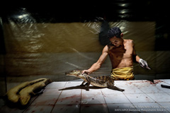 The Sacrifice photo by PaoloMarchetti(Getty Images)