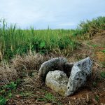 日本軍部隊「鹿山隊」によって子どもたちを含む久米島の2家族と区長ら９人がスパイ容疑で殺された跡（北原地区）。鹿山隊は家ごと焼きはらい、今は井戸だけが残る。写真はすべて沖縄県久米島。2015年８月22日