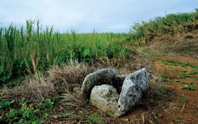 日本軍部隊「鹿山隊」によって子どもたちを含む久米島の2家族と区長ら９人がスパイ容疑で殺された跡（北原地区）。鹿山隊は家ごと焼きはらい、今は井戸だけが残る。写真はすべて沖縄県久米島。2015年８月22日