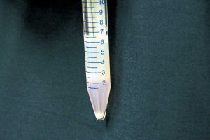 調整中の精子。採取後の精子を遠心分離機にかけると、運動性が良好で成熟した精子は培養液の下に沈殿する。