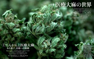 特集「医療大麻の世界」